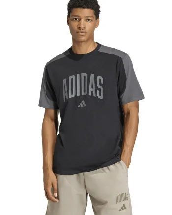 Tricou lejer din bumbac cu imprimeu logo Collegiate, Gri antracit/Gri inchis