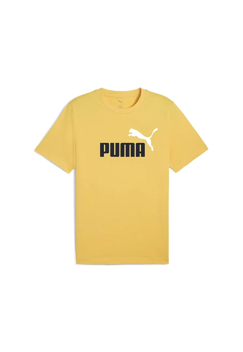 Tricou cu decolteu la baza gatului si imprimeu logo Essentials 2, Alb/Negru/Galben sofran