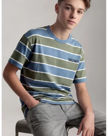 Tricou lejer din bumbac cu dungi, Sage Green/Albastru titan