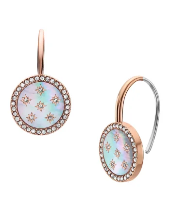 Cercei din otel inoxidabil cu Mother of Pearl, Bronz/Argintiu