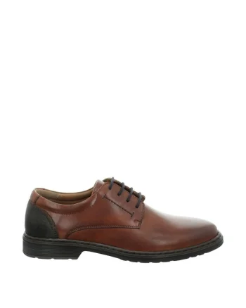 Pantofi Alastair,  Barbati, Piele Naturala, Maro