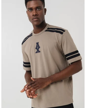 Tricou din bumbac cu dungi, Negru/Maro taupe