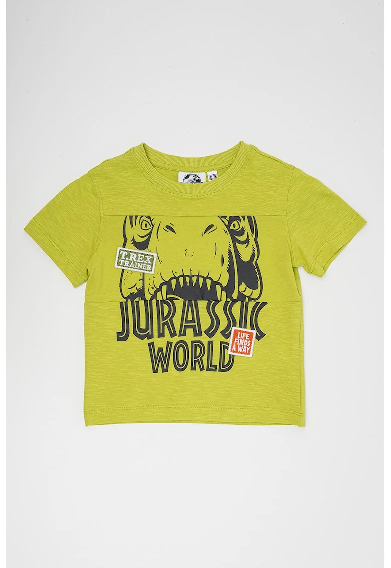 Tricou de bumbac cu imprimeu grafic si text, Verde fistic