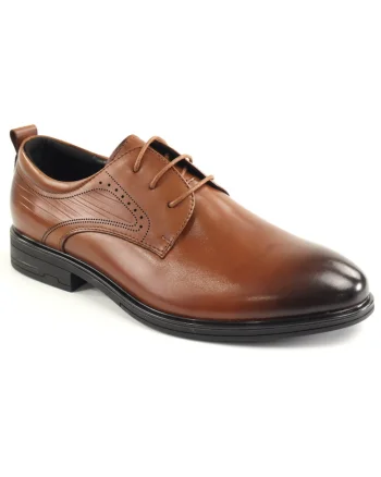 Pantofi barbati piele naturala E6E670004C 16 N, Maro