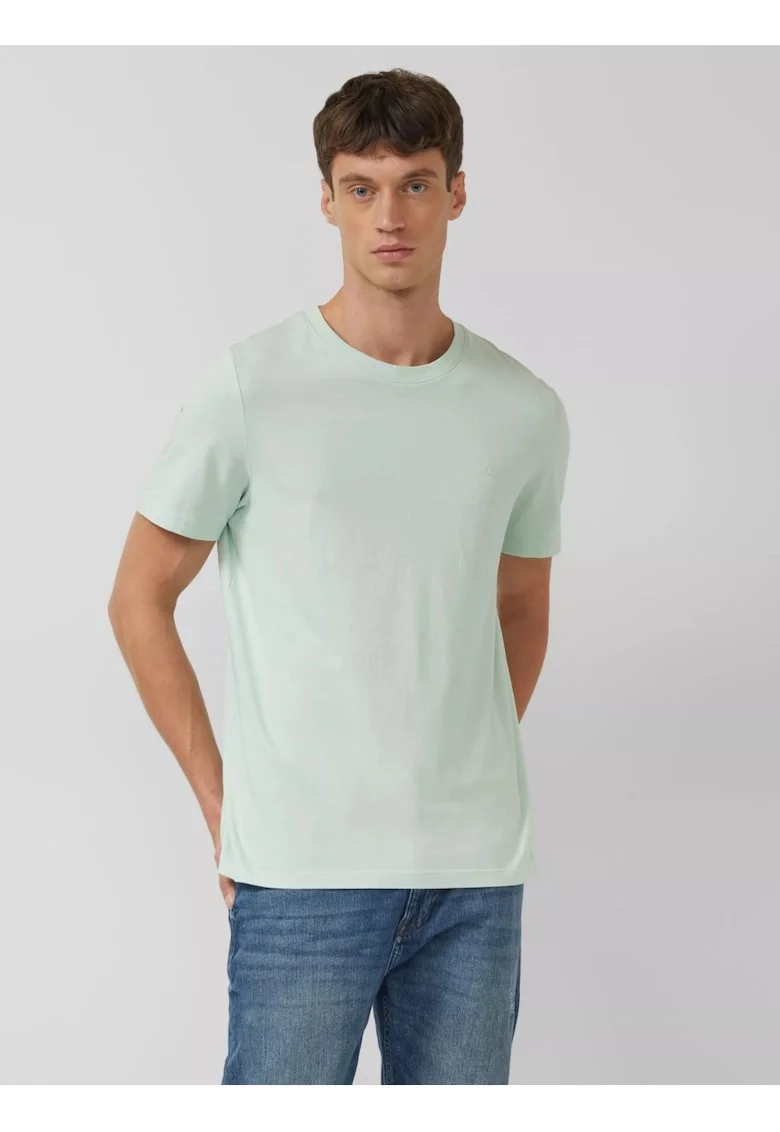 Tricou barbati din bumbac, Regular fit, Verde deschis