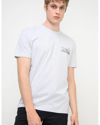 Tricou regular-fit cu imprimeu logo, Gri melange