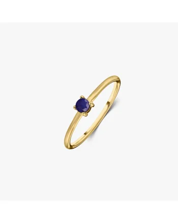 Inel din argint Birthstone Golden September - Safir
