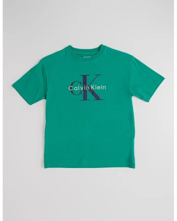 Tricou cu decolteu la baza gatului si logo pe piept, Verde