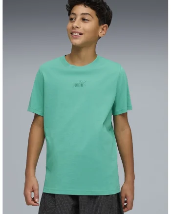 Tricou regular fitcu logo brodat Essentials, Verde deschis,