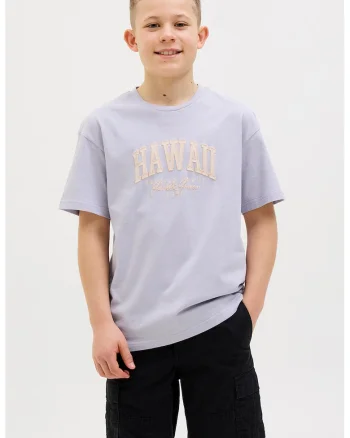 Tricou cu decolteu la baza gatului, imprimeu text si logo, Lila