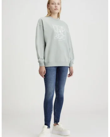Bluza de trening din bumbac organic cu broderie logo, Gri cenusiu