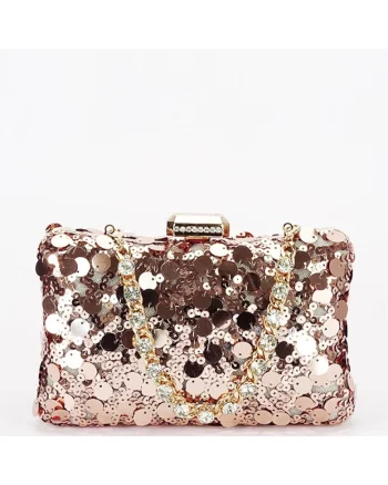 Geanta clutch champagne cu paiete BYH-896 05 20254, Sampanie