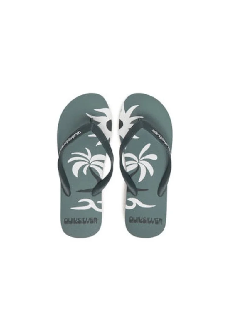 Papuci flip-flop barbati  AQYL101427-LTG, Sintetic, Verde, Verde