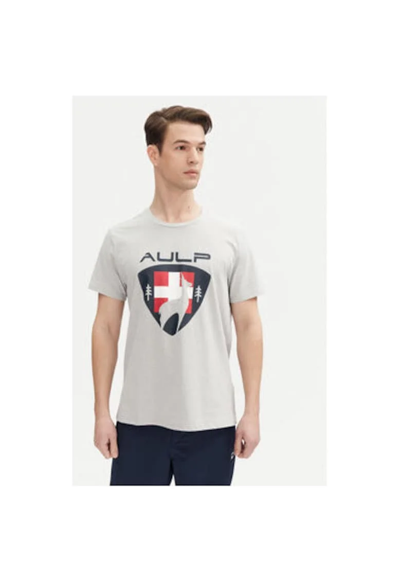 Tricou barbati  ROQUE M, Bumbac/Poliester reciclat, Gri, Gri