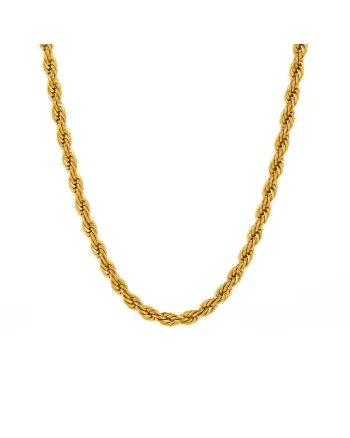 Colier auriu, din otel inoxidabil, suflat cu aur 18k, rasucit, Elioth C2