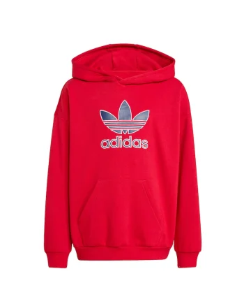 Hanorac cu buzunar kangaroo cu logo regular fit