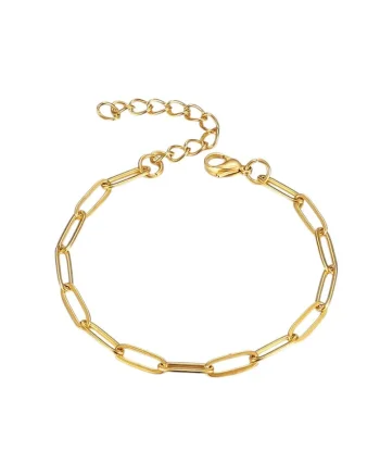 Bratara aurie, din otel inoxidabil, suflata cu aur 18k, cu zale delicate, Jimmy C6