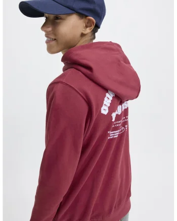 Hanorac regular fit cu model text, Rosu
