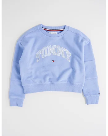 Bluza de trening cu logo brodat, Albastru lavanda