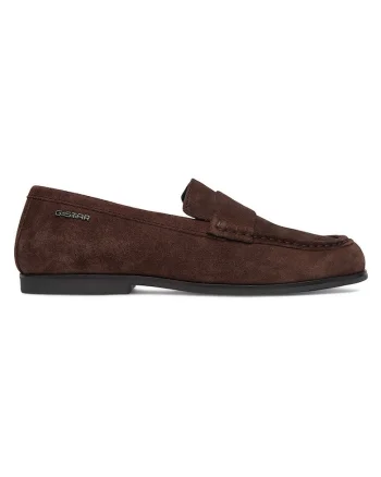 Mocasini dama, Maro