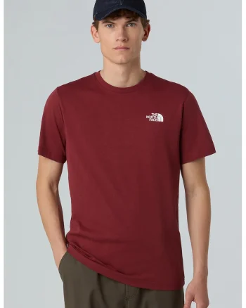 Tricou cu decolteu la baza gatului si imprimeu logo pe partea din spate, Gri/Rosu inchis