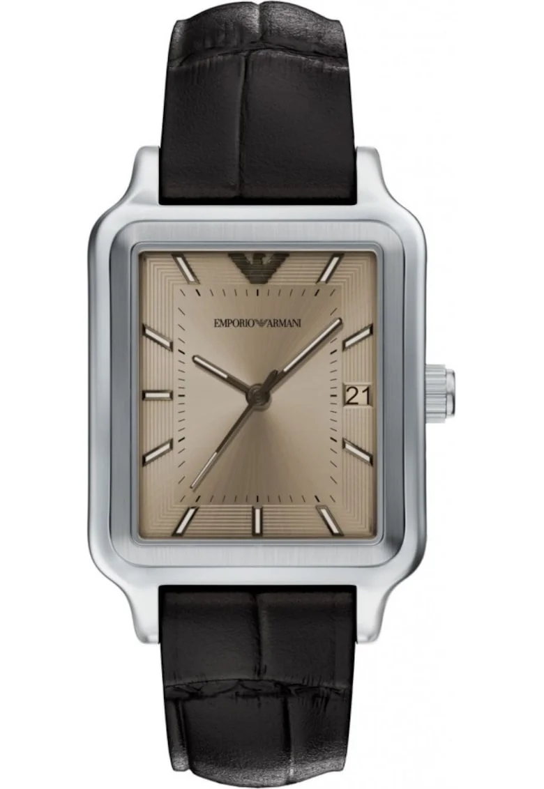 Ceas pentru barbati  AR11756, maro, fashion