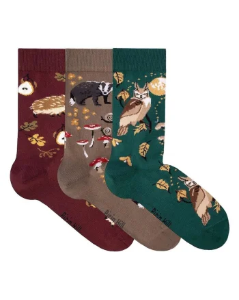 Cutie cu 3 perechi sosete din bumbac Povesti de Toamna – Bursuc, Arici, Bufnita, 35-38 EU, Multicolor