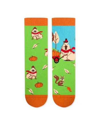 Sosete bumbac Arty Socks Capybara Verde