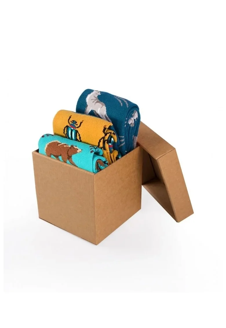 Sosete bumbac Forest Animals Cool Box, 3 buc.