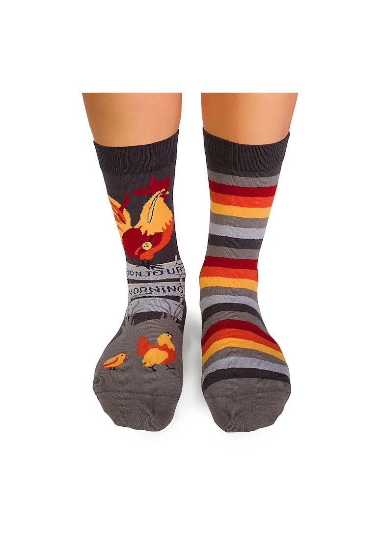 Sosete bumbac organic ARTY SOCKS Cocos GRI
