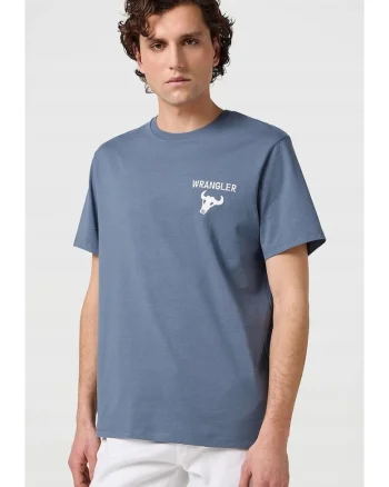 Tricou de barbati,  GRAPHIC TEE, bumbac, albastru, maneca scurta
