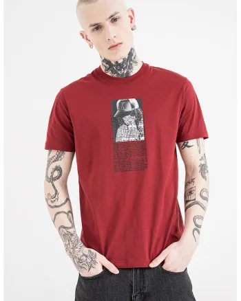 Tricou regular fit cu imprimeu foto, Gri/Rosu inchis