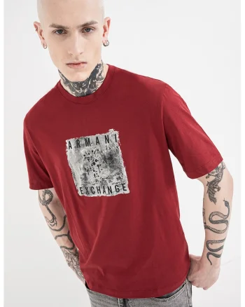 Tricou cu logo si decolteu la baza gatului, Gri/Rosu inchis