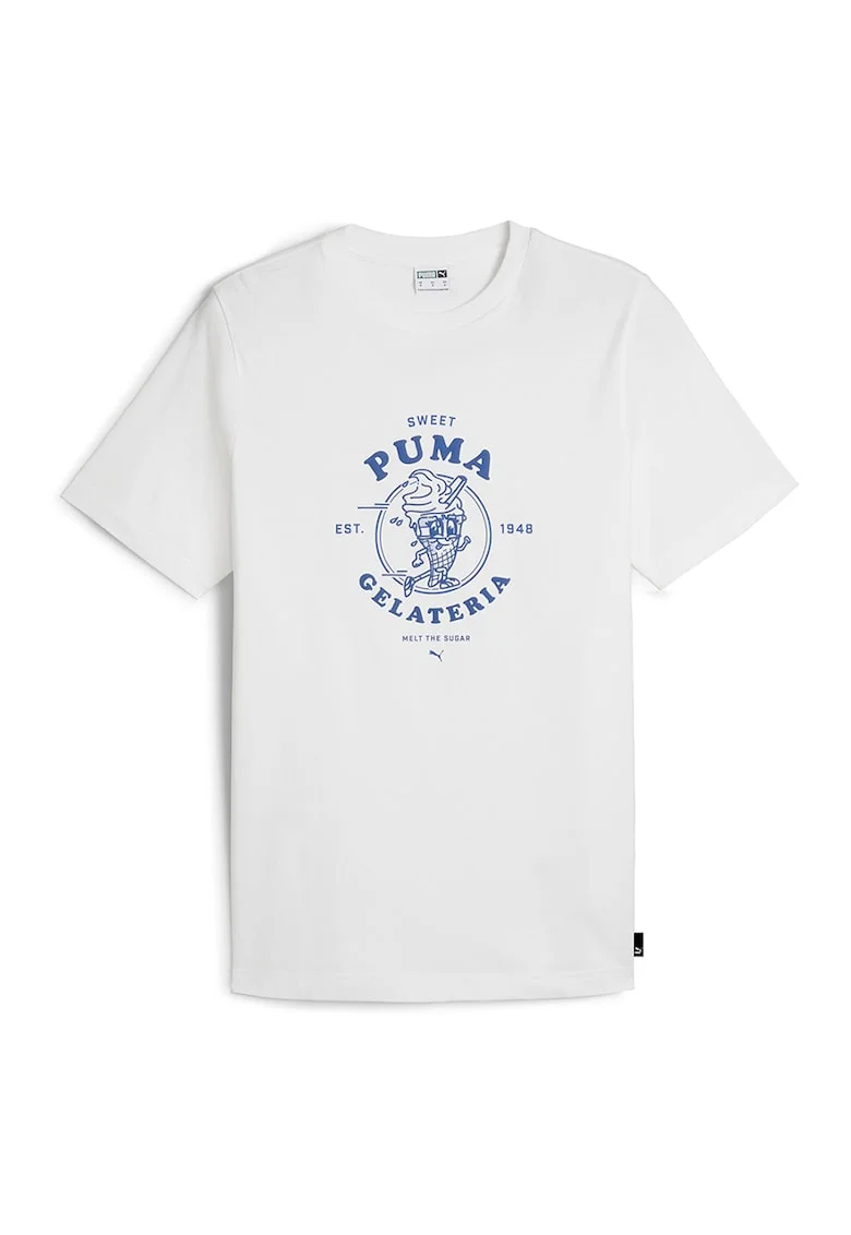 Tricou regular fit din bumbac cu imprimeu, Alb/Albastru