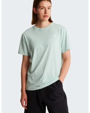 Tricou regular fit cu imprimeu logo pe partea din spate Evolution Box, Verde pal