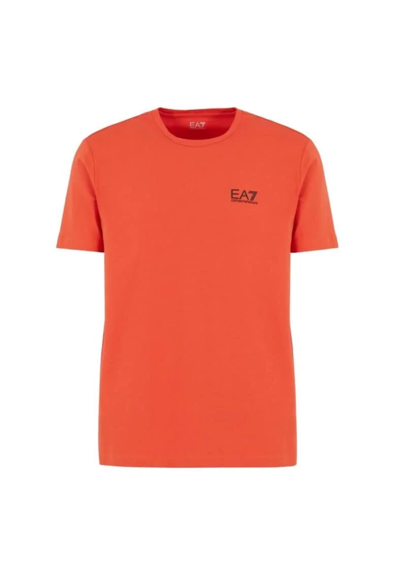 Tricou  pentru Drumetie, 8NPT26-PJVQZ-1672, Alb, Alb