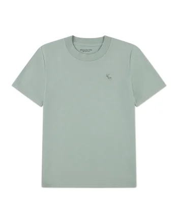 Tricou regular fit cu decolteu la baza gatului, Gri antichizat