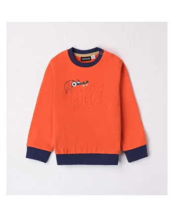 Bluza cu imprimeu pentru baieti,  0.7037, Portocaliu
