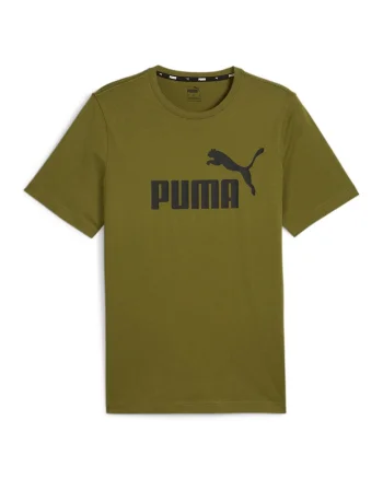 Tricou cu imprimeu logo ESS, Verde sparanghel