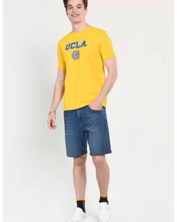 Tricou regular fit, decolteu la baza gatului, imprimeu cu logo, Galben, GAYLEY, Galben