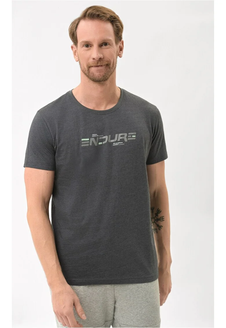 Tricou  T-Ende pentru barbati, grafit, Gri grafit