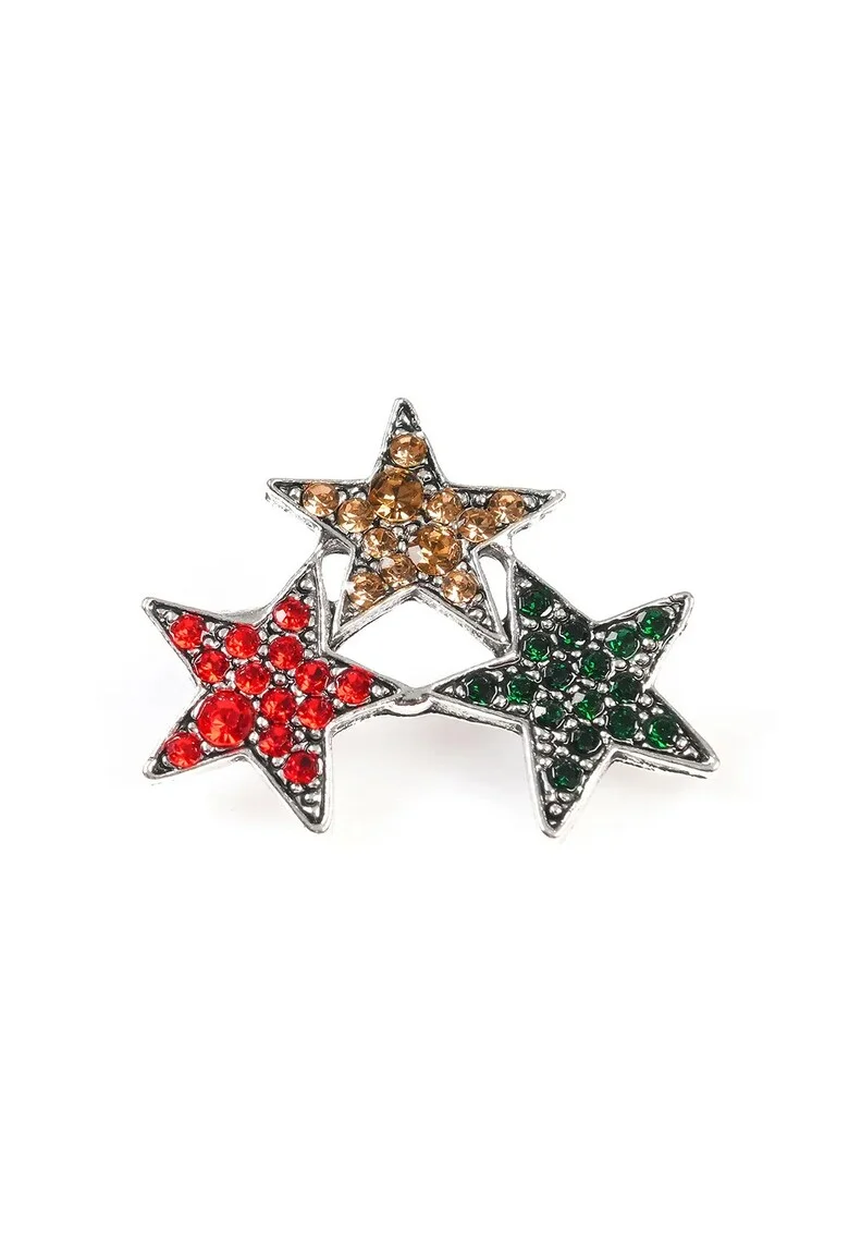 Brosa martisor stele multicolore