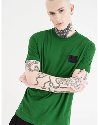 Tricou regular fit cu decolteu la baza gatului, Verde/Negru