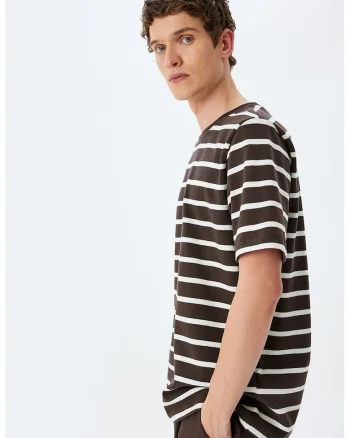 Tricou din bumbac cu model in dungi, Alb/Maro inchis