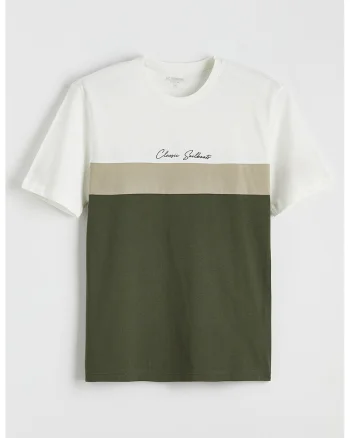 Tricou din bumbac cu model colorblock, Alb/Verde masliniu