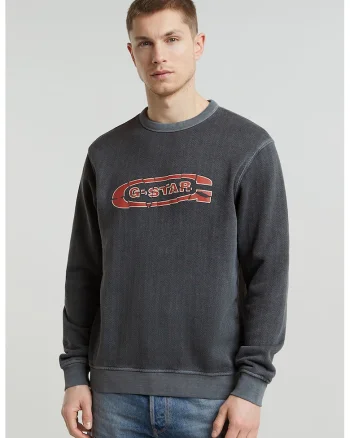 Bluza de trening de bumbac organic cu logo, Gri antracit