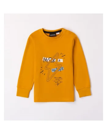 Bluza cu imprimeu pentru baieti,  0.7149, Negru/Galben/Albastru deschis