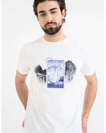 Tricou de bumbac cu imprimeu grafic Divalis, Alb/Negru/Albastru