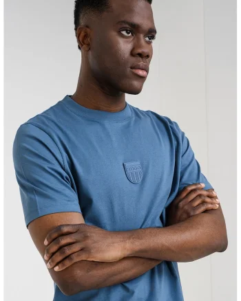 Tricou de bumbac cu decolteu la baza gatului Darvish, Albastru prafuit