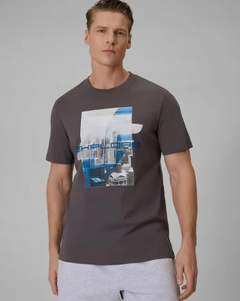 Tricou barbati,  bumbac, gri, cu imprimeu, regular